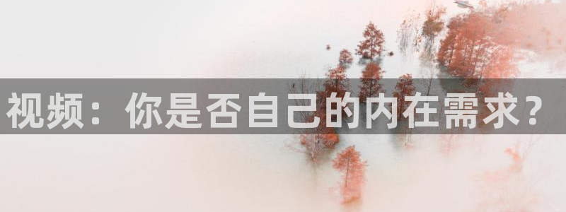 糖心官网版：视频：你是否自己的内在需求？